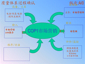 乌龟图大全.ppt