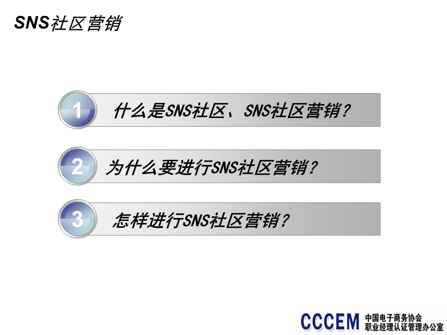 SNS社区营销电子商务职业经理人系列教程.ppt_第2页