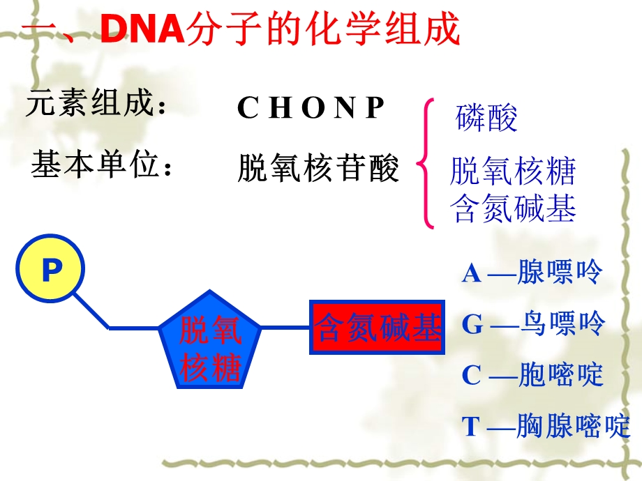 DNA结构和复制与基因的本质.ppt_第2页