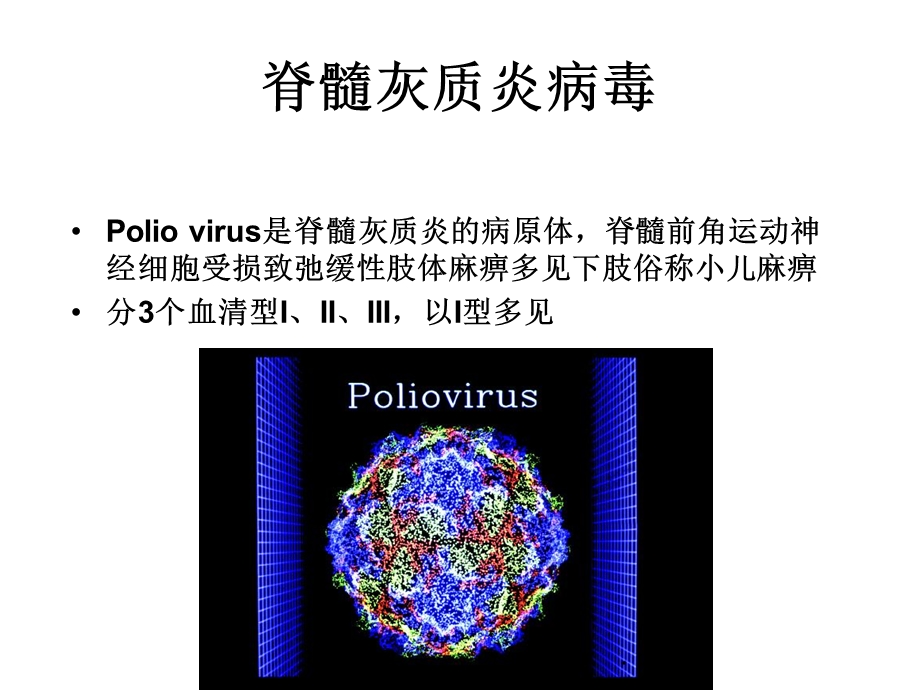 无包膜RNA病毒.ppt_第3页