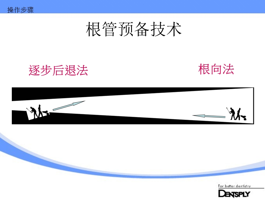 Protaper应用指南.ppt_第3页