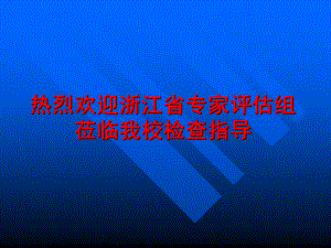 热烈欢迎浙江省专家评估组莅临我校检查指导.ppt