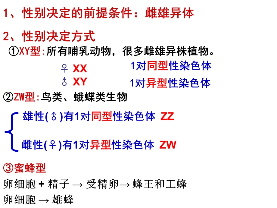 2014届2-3伴性遗传第二课时.ppt_第2页