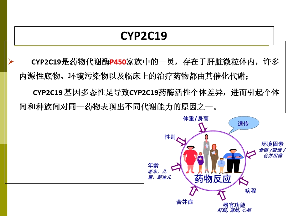 CYP2C19基因检测与氯吡格雷用药的关系.ppt_第2页