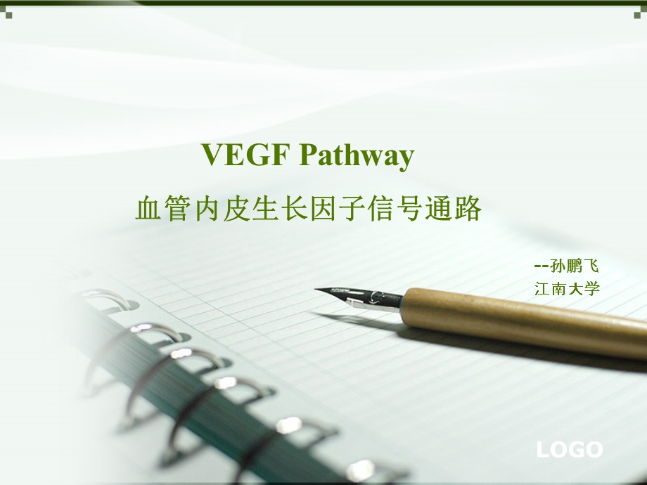 VEGF(血管内皮生长因子)信号通路精美ppt.ppt_第1页