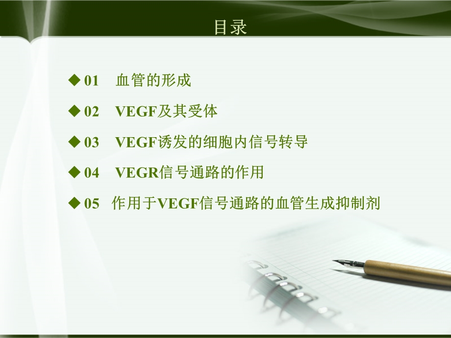 VEGF(血管内皮生长因子)信号通路精美ppt.ppt_第2页