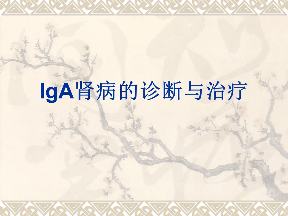 IgA肾病的诊断与治疗.ppt_第1页