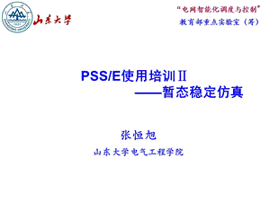 PSSE使用培训PPT课件.ppt