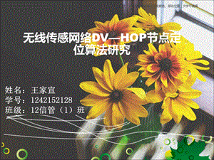 DVHOP定位算法.ppt