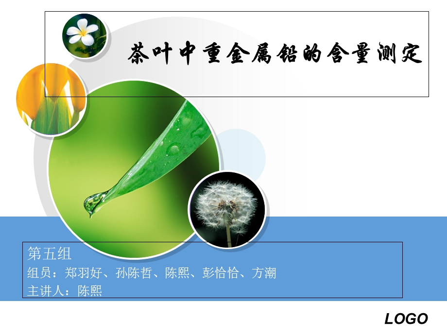 KJ09茶叶中重金属铅含量的测定.ppt_第1页