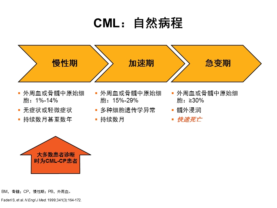 CML治疗的回顾与展望.ppt_第3页