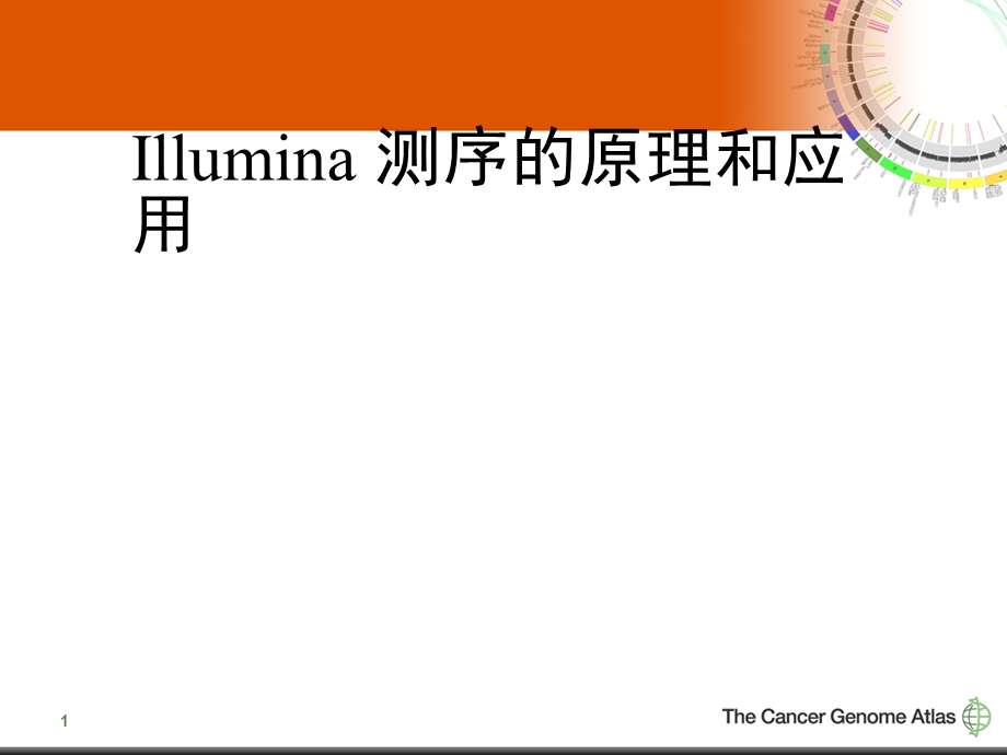 Illumina测序的原理和应用.ppt_第1页