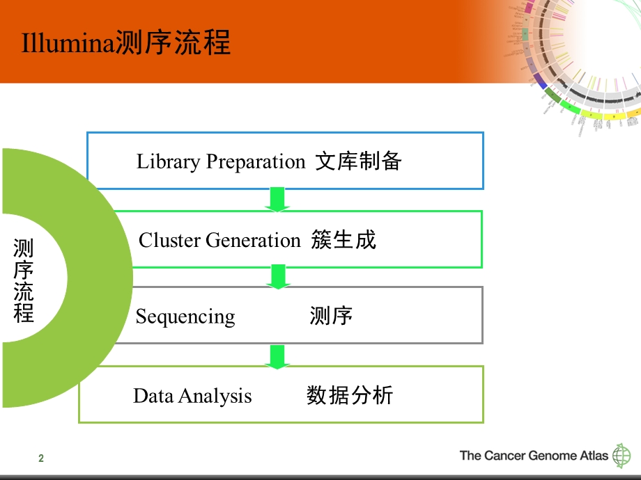 Illumina测序的原理和应用.ppt_第2页