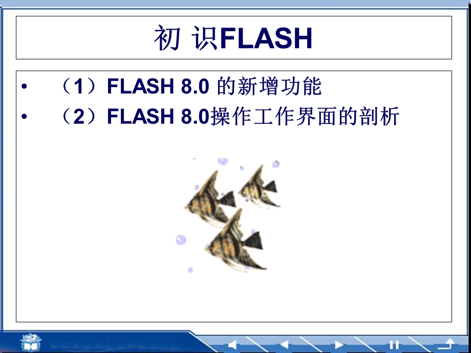 Flash8.0详细教程(完整版).ppt_第2页