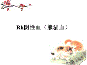 Rh阴性血型有关知识分析.ppt