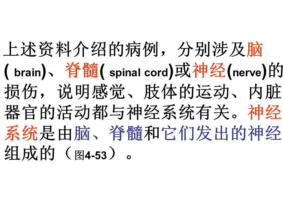 新教材神经系统的组成更新佛山谢永红.ppt_第3页