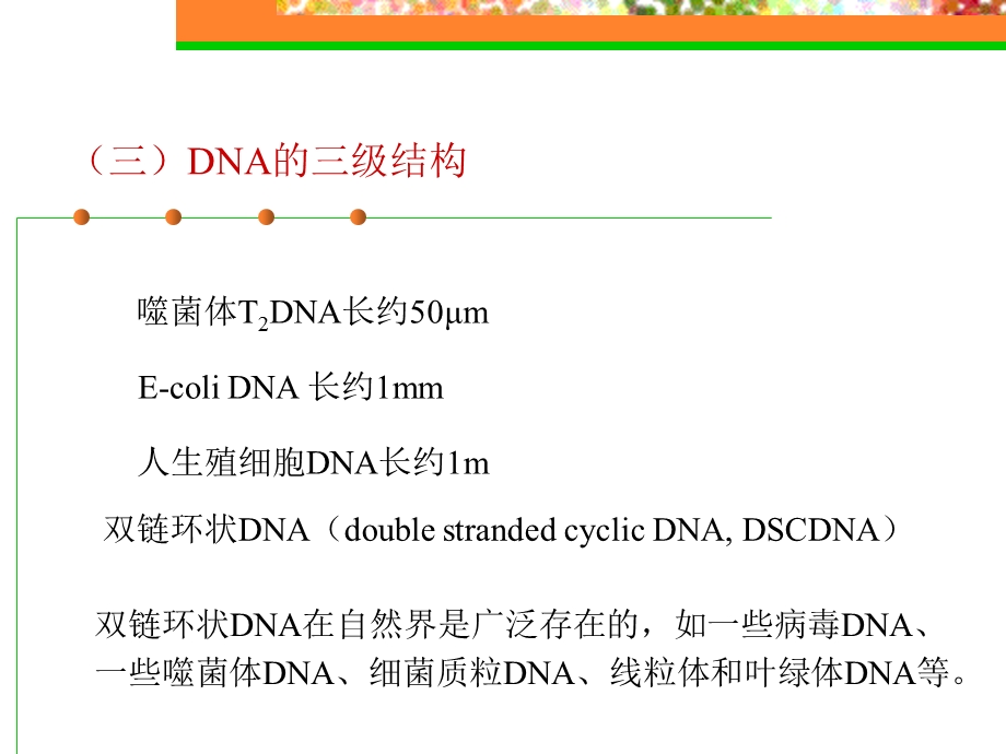 DNA的三级结构.ppt_第1页