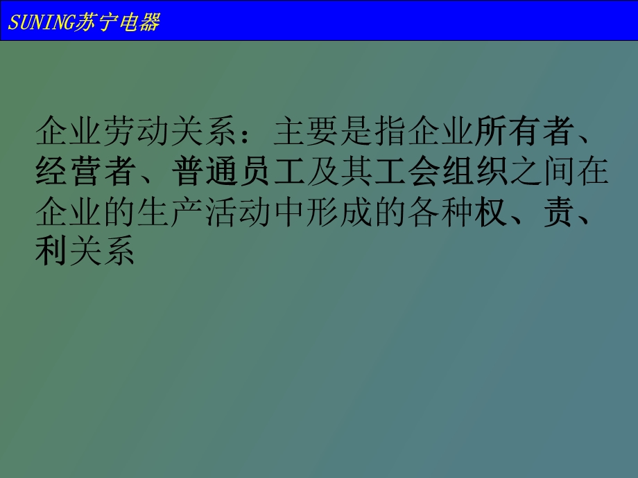 SUNING苏宁电器员工关系.ppt_第2页
