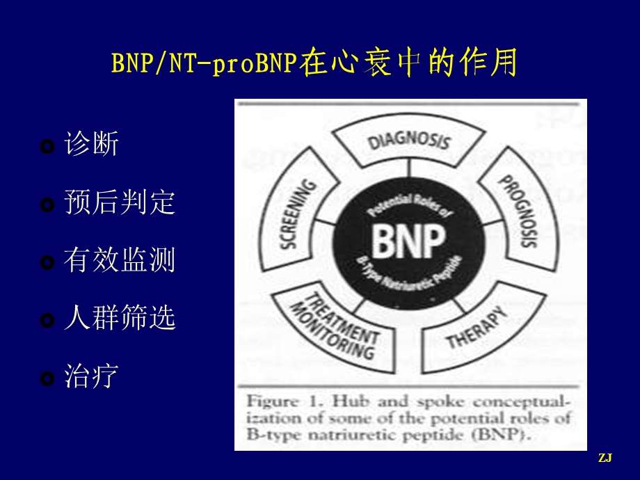 BNPNT-proBNP监测在心力衰竭诊治中的应.ppt_第2页