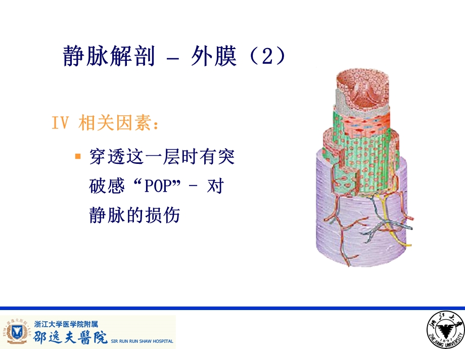 PICC导管相关性血栓形成及处理.ppt_第3页