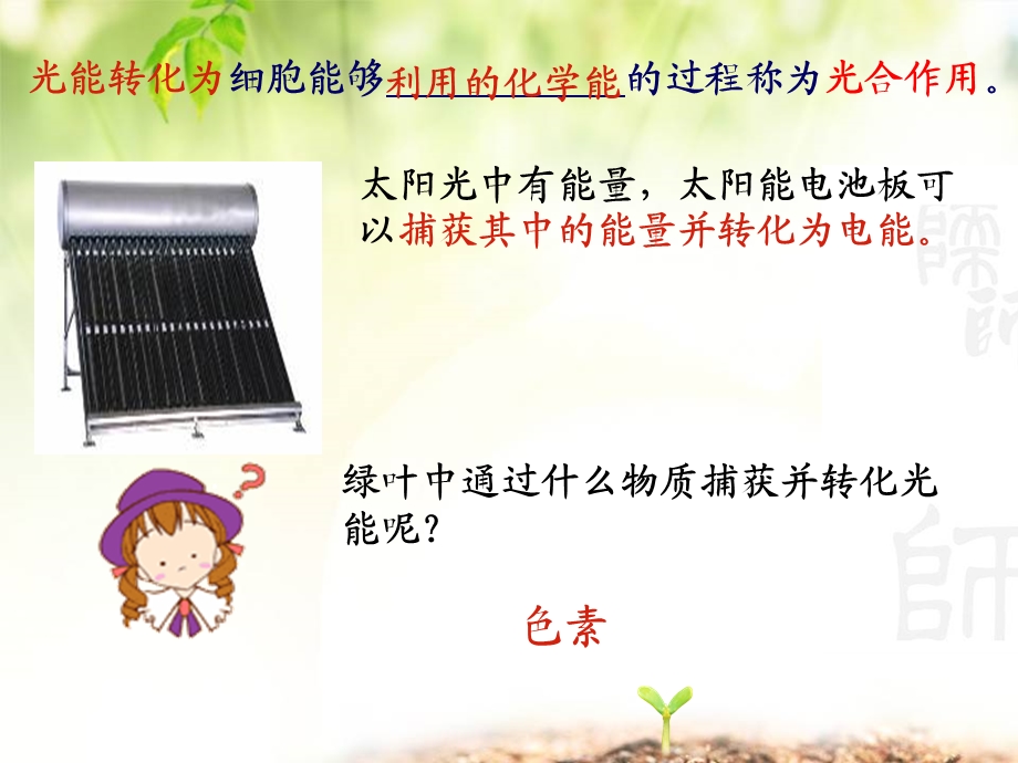 54光与光合作用.ppt_第3页