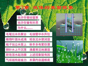 ch3液体的表面现象.ppt