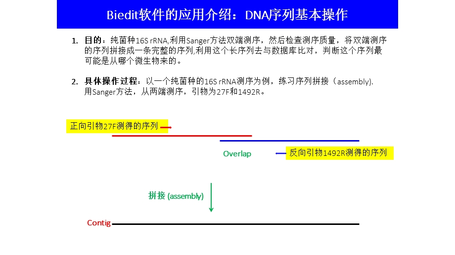 Bioedit操作指南.ppt_第1页