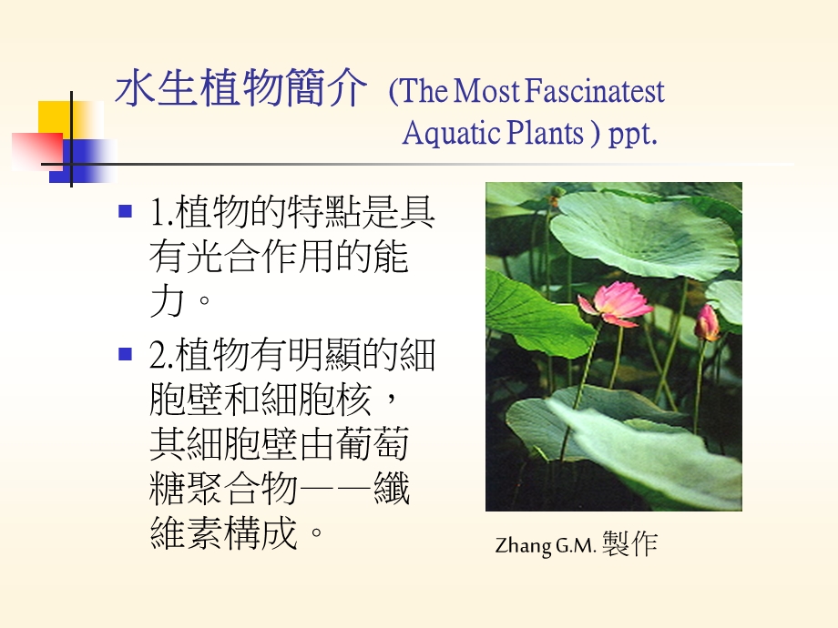水生植物简介TheMostFascinatestAquaticPlants.ppt_第1页
