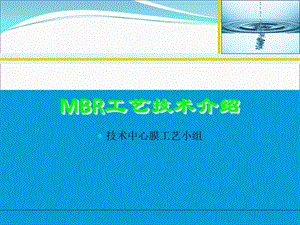 MBR原理和设计参数资料全.ppt