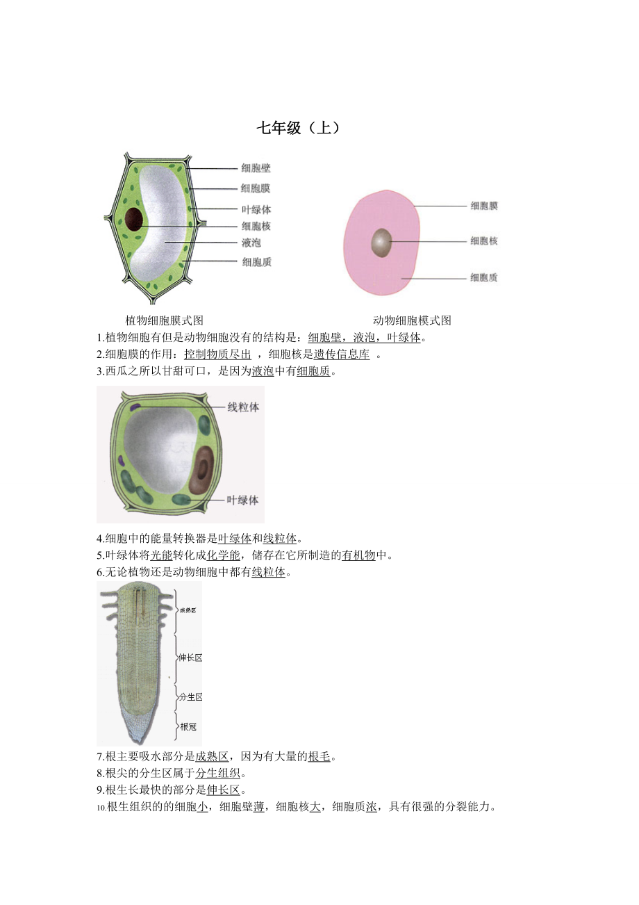 初中生物图专题(附题目)(DOC).doc_第2页