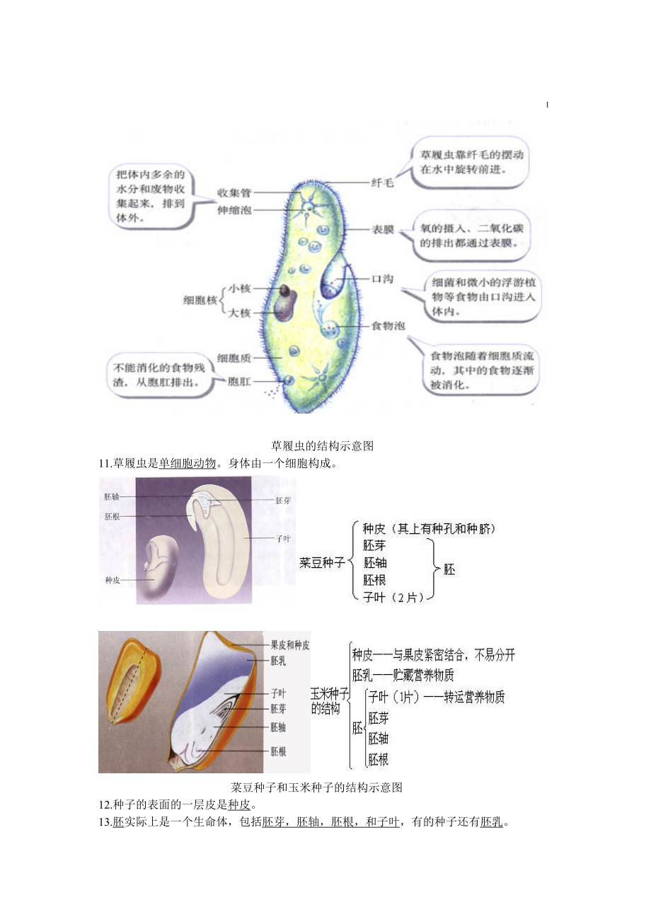 初中生物图专题(附题目)(DOC).doc_第3页