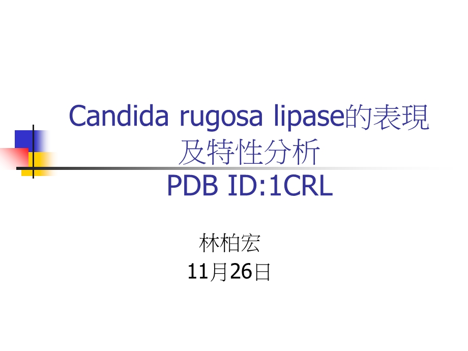 candidarugosalipase的表现及特性分析.ppt_第1页