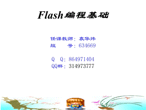 Flash编程基础.ppt