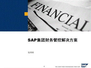 SAP集团财务方案.ppt