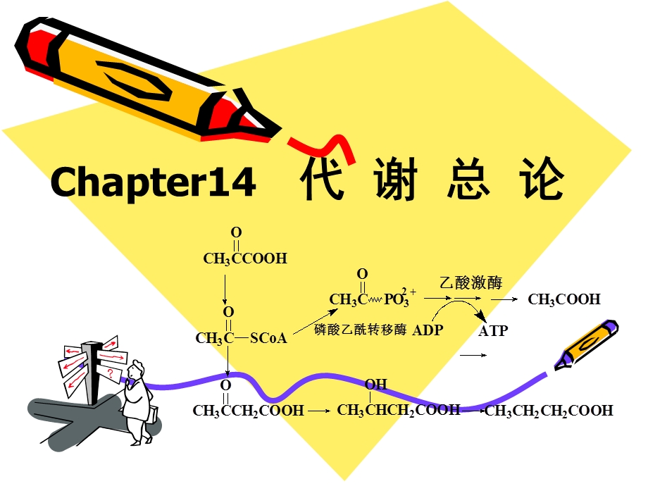 BiochemistryB12代谢总论.ppt_第1页