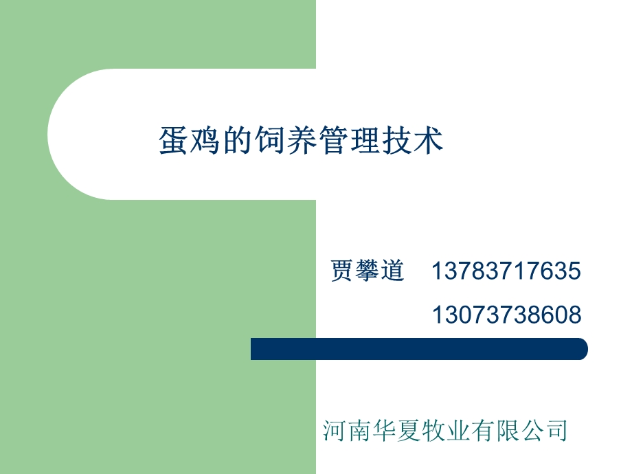 蛋鸡饲养管理技术.ppt_第1页