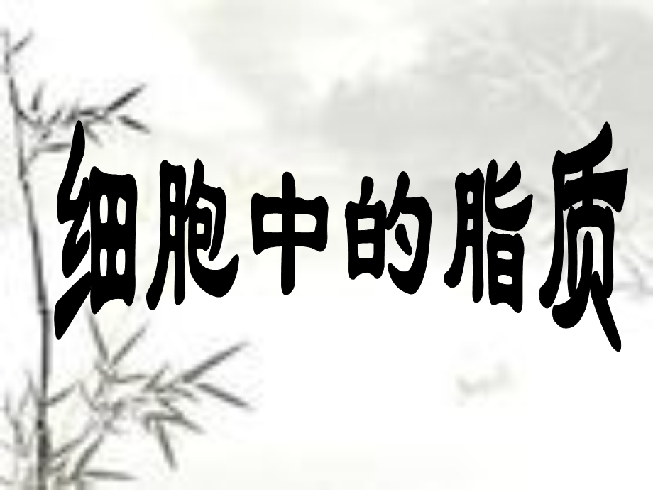 细胞中的脂质.ppt_第1页