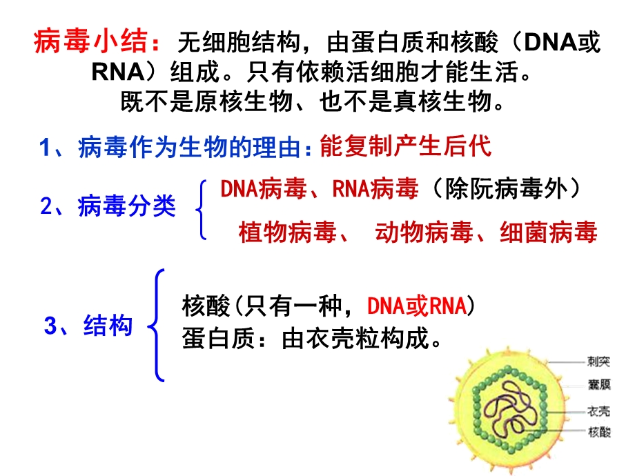 2015一轮复习课件：第一章走近细胞.ppt_第3页