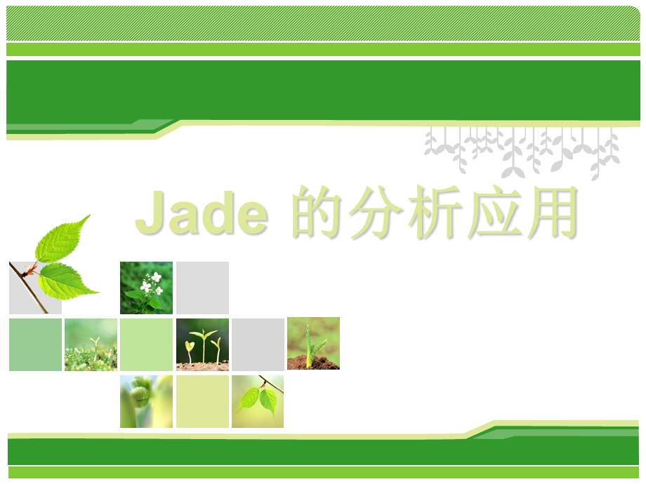 Jade的分析应用(使用详细教程).ppt_第1页