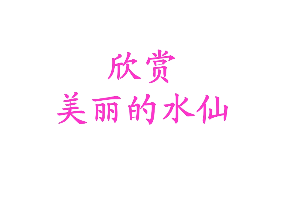 水仙的雕刻技艺.ppt_第2页