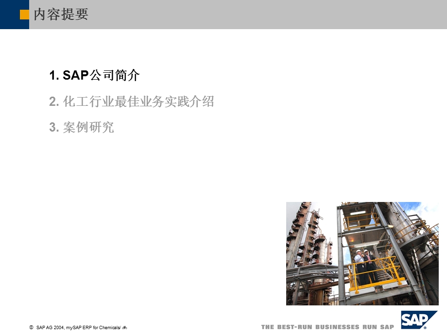 SAP化工行业解决.ppt_第2页