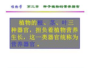 7营养器官根.ppt