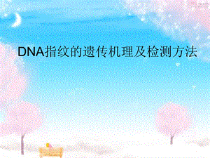 DNA指纹的遗传机理及检测方法.ppt