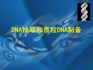 DNA和质粒抽提.ppt