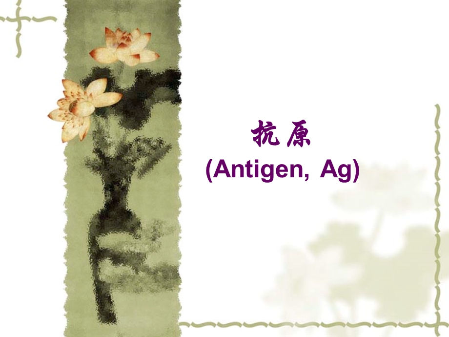 抗原AntigenAg精品PPT课件.ppt_第1页