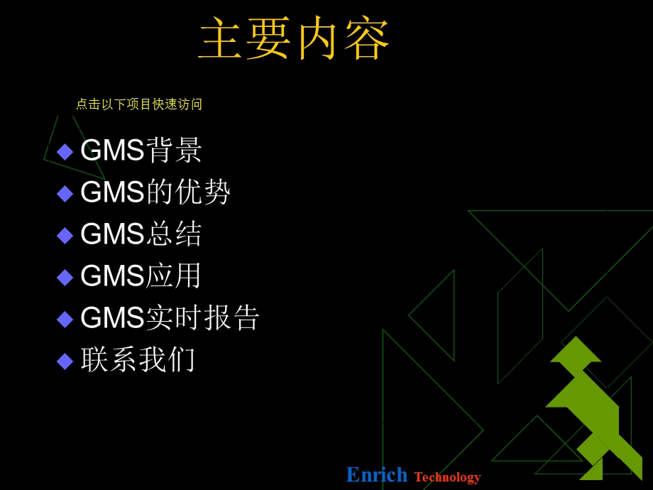 GMS服装管理系统.ppt_第2页