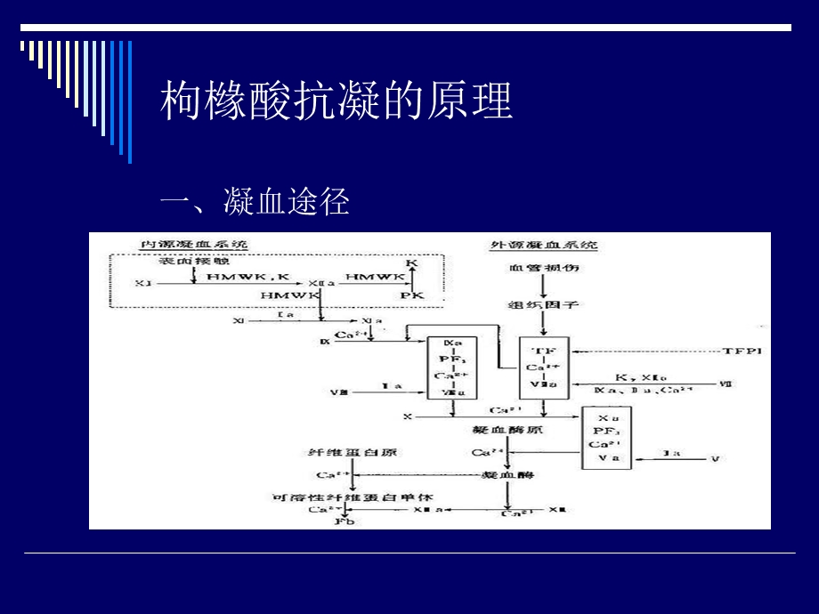 CRRT的枸橼酸抗凝.ppt_第2页