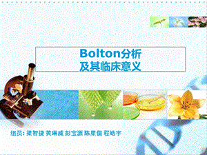 Bolton指数分析.ppt