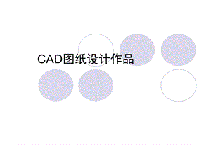 cad图纸设计作品.ppt