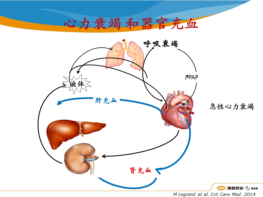 2015新活素讲课.ppt_第3页